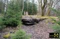 Grube Ameise im Leimbachtal bei Siegen, Westerwald, Nordrhein-Westfalen, (D) (23) 24. April 2016 Schachtabdeckung.JPG